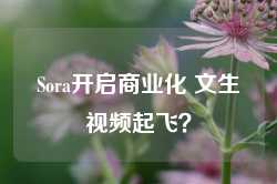 Sora开启商业化 文生视频起飞？