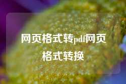 网页格式转pdf网页格式转换