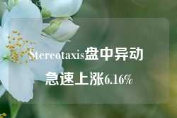 Stereotaxis盘中异动 急速上涨6.16%