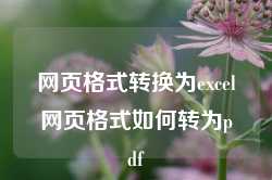 网页格式转换为excel网页格式如何转为pdf