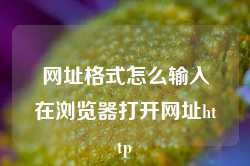 网址格式怎么输入在浏览器打开网址http