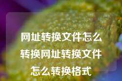 网址转换文件怎么转换网址转换文件怎么转换格式