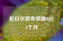 尼日尔宣布禁播BBC3个月