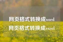 网页格式转换成word网页格式转换成excel