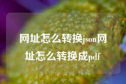 网址怎么转换json网址怎么转换成pdf