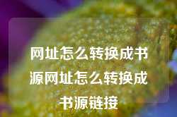 网址怎么转换成书源网址怎么转换成书源链接