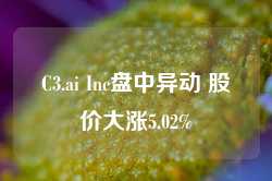 C3.ai Inc盘中异动 股价大涨5.02%