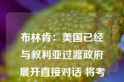 布林肯：美国已经与叙利亚过渡政府展开直接对话 将考虑解除制裁