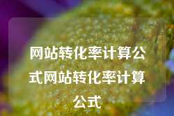 网站转化率计算公式网站转化率计算公式