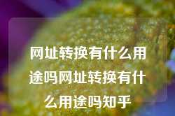 网址转换有什么用途吗网址转换有什么用途吗知乎