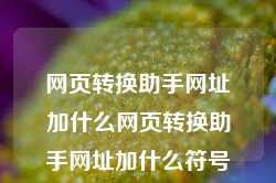 网页转换助手网址加什么网页转换助手网址加什么符号