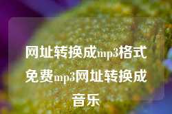 网址转换成mp3格式免费mp3网址转换成音乐