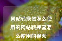 网站转换器怎么使用的网站转换器怎么使用的视频