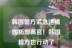 韩国警方紧急逮捕国防部高官！韩国检方也行动了