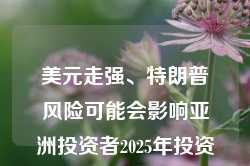 美元走强、特朗普风险可能会影响亚洲投资者2025年投资押注