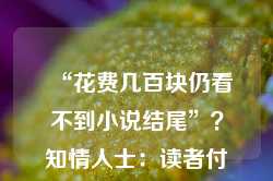 “花费几百块仍看不到小说结尾”？知情人士：读者付费前可选择单章订阅或批量订阅