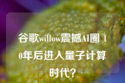 谷歌willow震撼AI圈 10年后进入量子计算时代？