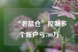 “老鼠仓”控制多个账户亏700万