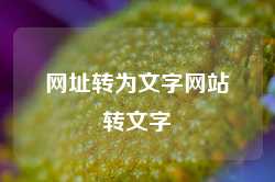 网址转为文字网站转文字