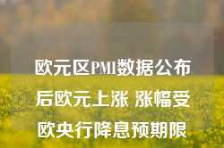 欧元区PMI数据公布后欧元上涨 涨幅受欧央行降息预期限制