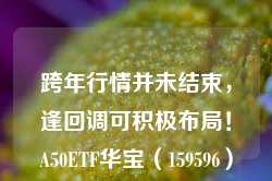 跨年行情并未结束，逢回调可积极布局！A50ETF华宝（159596）盘中震荡迎布局窗口