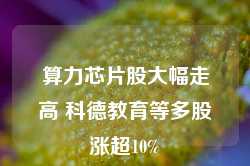 算力芯片股大幅走高 科德教育等多股涨超10%