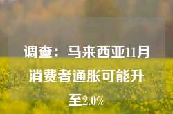 调查：马来西亚11月消费者通胀可能升至2.0%