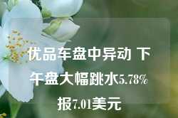 优品车盘中异动 下午盘大幅跳水5.78%报7.01美元