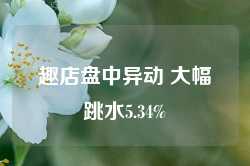 趣店盘中异动 大幅跳水5.34%