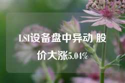 LSI设备盘中异动 股价大涨5.04%