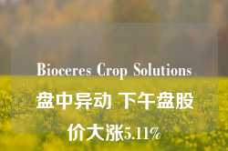 Bioceres Crop Solutions盘中异动 下午盘股价大涨5.11%