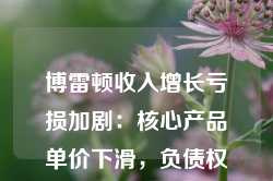 博雷顿收入增长亏损加剧：核心产品单价下滑，负债权益比率攀升