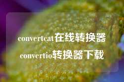 convertcat在线转换器convertio转换器下载