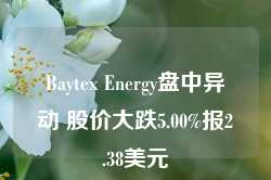 Baytex Energy盘中异动 股价大跌5.00%报2.38美元