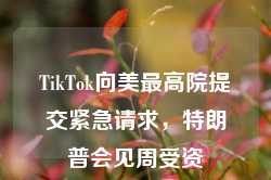 TikTok向美最高院提交紧急请求，特朗普会见周受资