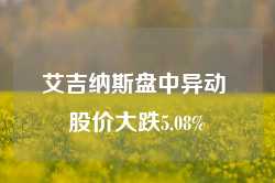 艾吉纳斯盘中异动 股价大跌5.08%